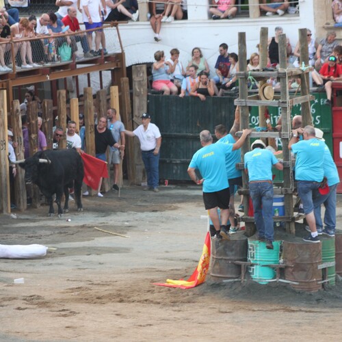 toros 16 agosto 2025 (60)